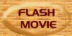 Flash movie